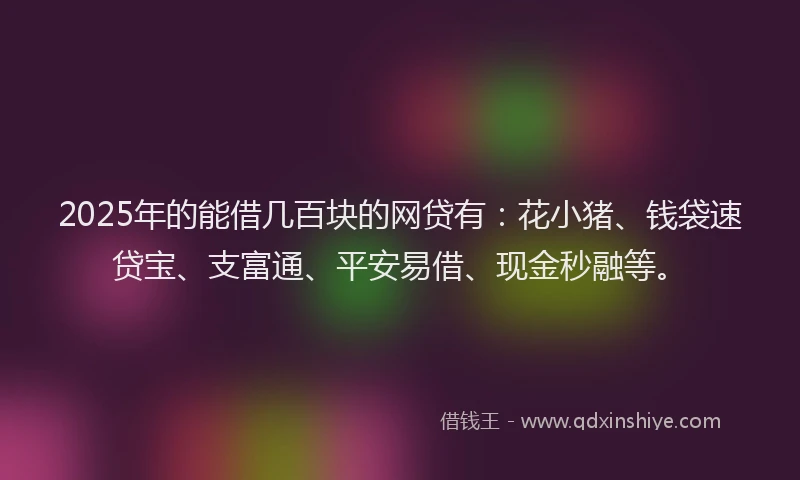 2025年的能借几百块的网贷有：花小猪、钱袋速贷宝、支富通、平安易借、现金秒融等。