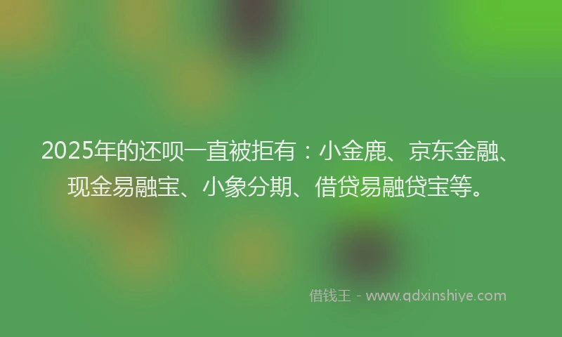 2025年的还呗一直被拒有：小金鹿、京东金融、现金易融宝、小象分期、借贷易融贷宝等。