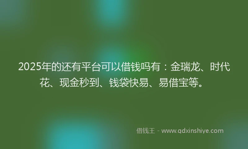 2025年的还有平台可以借钱吗有：金瑞龙、时代花、现金秒到、钱袋快易、易借宝等。
