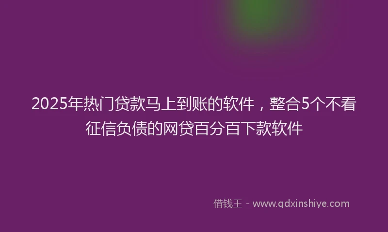 2025年热门贷款马上到账的软件，整合5个不看征信负债的网贷百分百下款软件