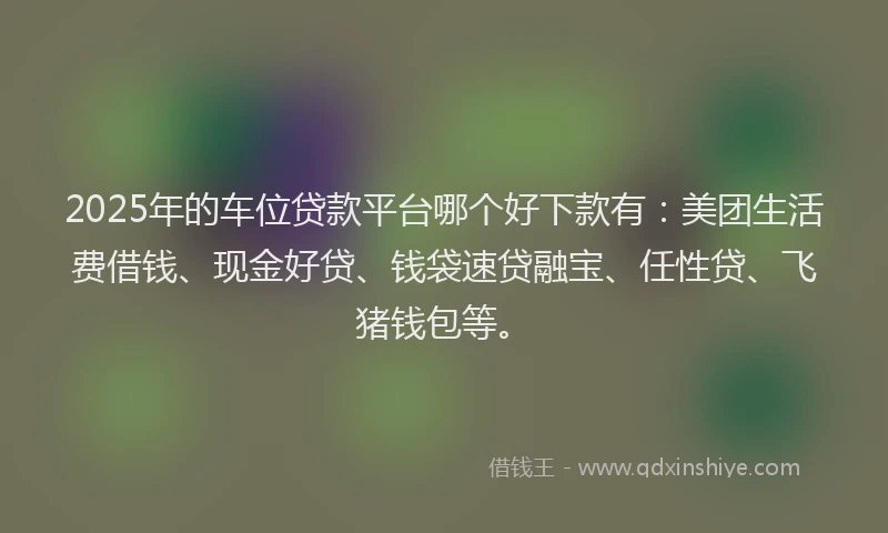 2025年的车位贷款平台哪个好下款有：美团生活费借钱、现金好贷、钱袋速贷融宝、任性贷、飞猪钱包等。