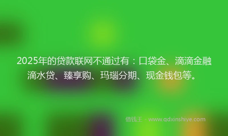 2025年的贷款联网不通过有：口袋金、滴滴金融滴水贷、臻享购、玛瑙分期、现金钱包等。