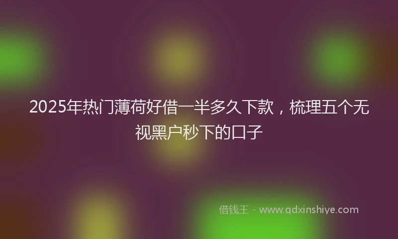 2025年热门薄荷好借一半多久下款，梳理五个无视黑户秒下的口子