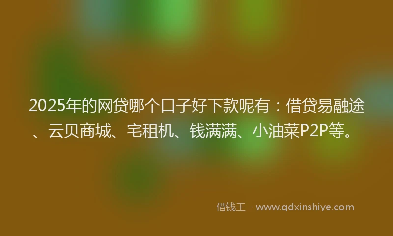 2025年的网贷哪个口子好下款呢有：借贷易融途、云贝商城、宅租机、钱满满、小油菜P2P等。