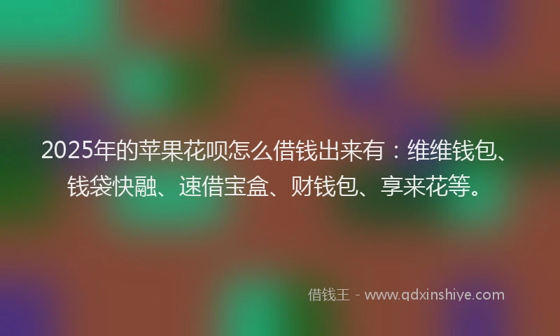 2025年的苹果花呗怎么借钱出来有：维维钱包、钱袋快融、速借宝盒、财钱包、享来花等。