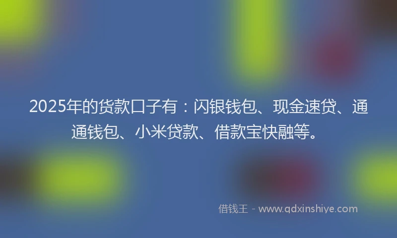 2025年的货款口子有：闪银钱包、现金速贷、通通钱包、小米贷款、借款宝快融等。