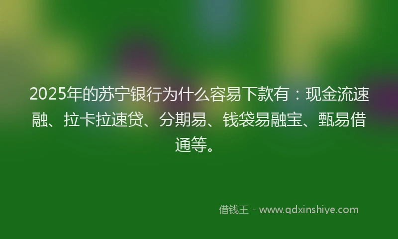 2025年的苏宁银行为什么容易下款有：现金流速融、拉卡拉速贷、分期易、钱袋易融宝、甄易借通等。