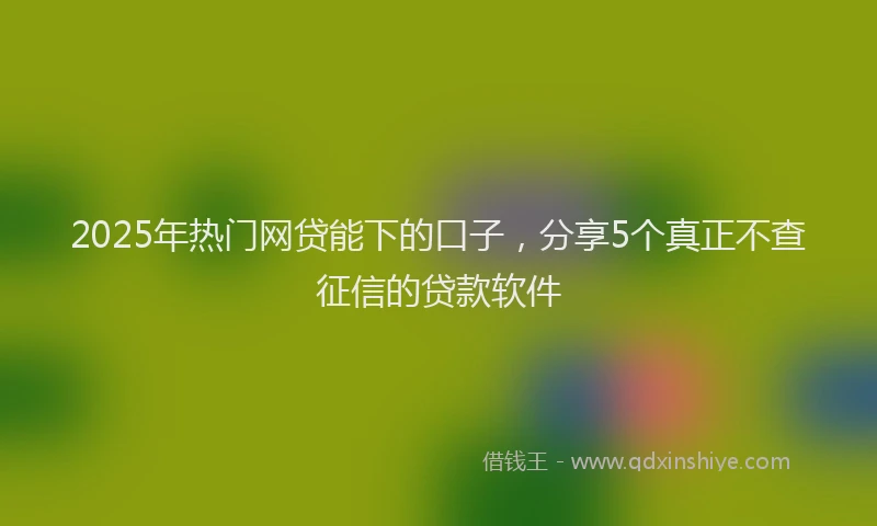 2025年热门网贷能下的口子，分享5个真正不查征信的贷款软件