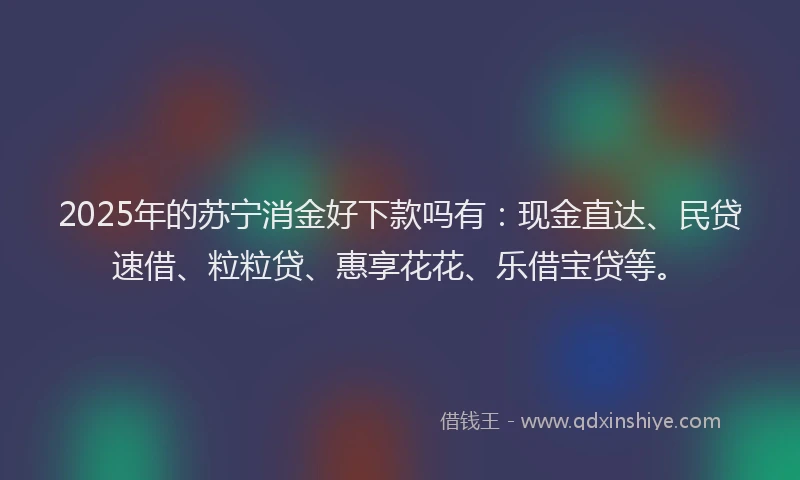 2025年的苏宁消金好下款吗有：现金直达、民贷速借、粒粒贷、惠享花花、乐借宝贷等。