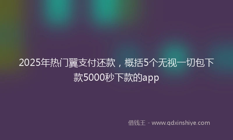 2025年热门翼支付还款，概括5个无视一切包下款5000秒下款的app