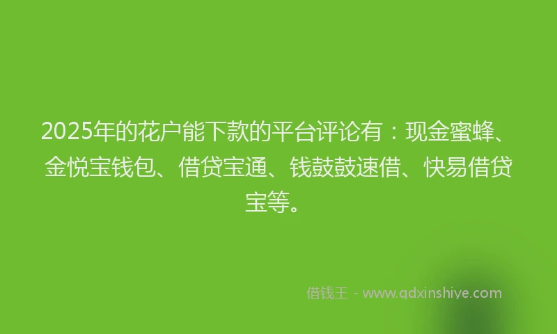 2025年的花户能下款的平台评论有：现金蜜蜂、金悦宝钱包、借贷宝通、钱鼓鼓速借、快易借贷宝等。