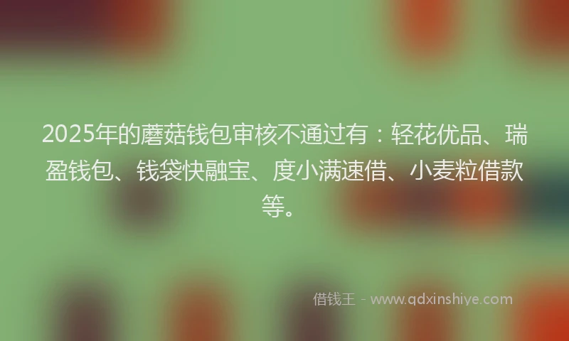 2025年的蘑菇钱包审核不通过有：轻花优品、瑞盈钱包、钱袋快融宝、度小满速借、小麦粒借款等。