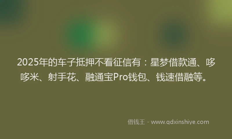 2025年的车子抵押不看征信有：星梦借款通、哆哆米、射手花、融通宝Pro钱包、钱速借融等。