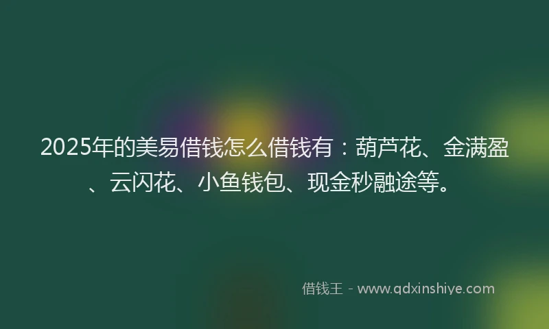 2025年的美易借钱怎么借钱有：葫芦花、金满盈、云闪花、小鱼钱包、现金秒融途等。