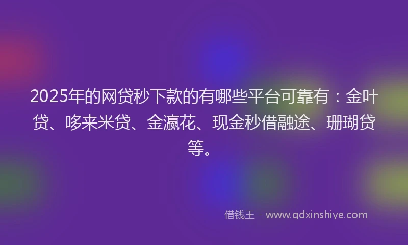 2025年的网贷秒下款的有哪些平台可靠有：金叶贷、哆来米贷、金瀛花、现金秒借融途、珊瑚贷等。