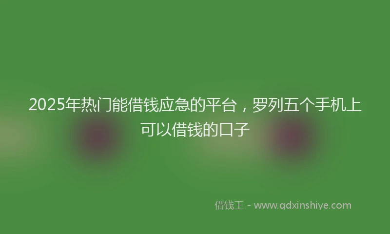2025年热门能借钱应急的平台，罗列五个手机上可以借钱的口子