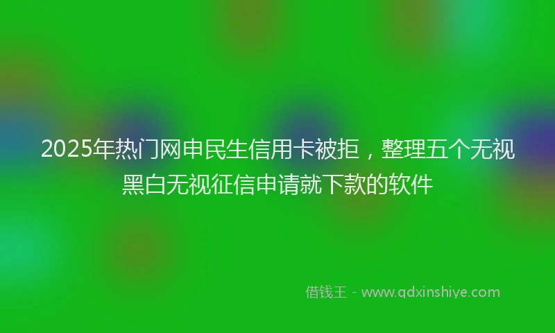 2025年热门网申民生信用卡被拒，整理五个无视黑白无视征信申请就下款的软件