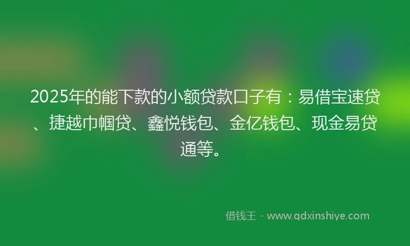 2025年的能下款的小额贷款口子有：易借宝速贷、捷越巾帼贷、鑫悦钱包、金亿钱包、现金易贷通等。