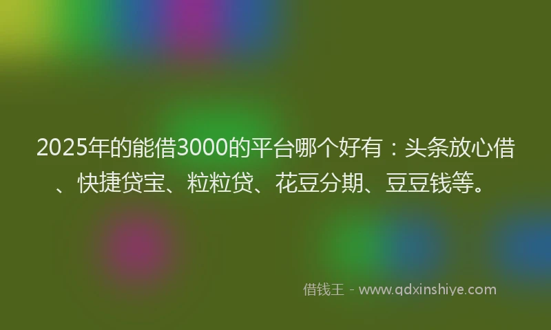 2025年的能借3000的平台哪个好有：头条放心借、快捷贷宝、粒粒贷、花豆分期、豆豆钱等。