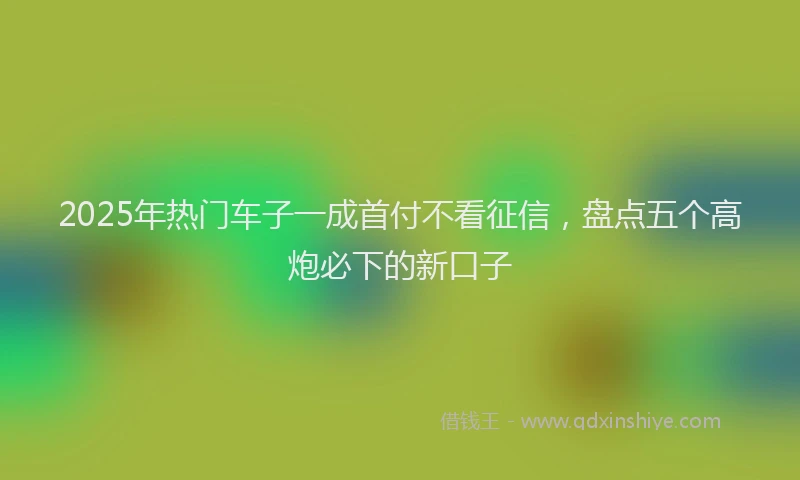 2025年热门车子一成首付不看征信，盘点五个高炮必下的新口子