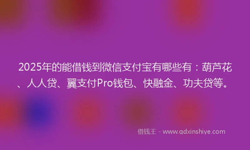 2025年的能借钱到微信支付宝有哪些有：葫芦花、人人贷、翼支付Pro钱包、快融金、功夫贷等。
