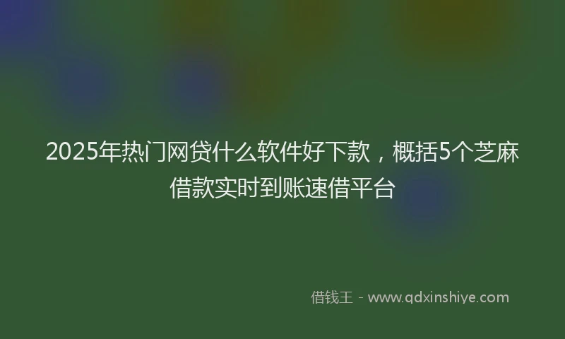 2025年热门网贷什么软件好下款，概括5个芝麻借款实时到账速借平台