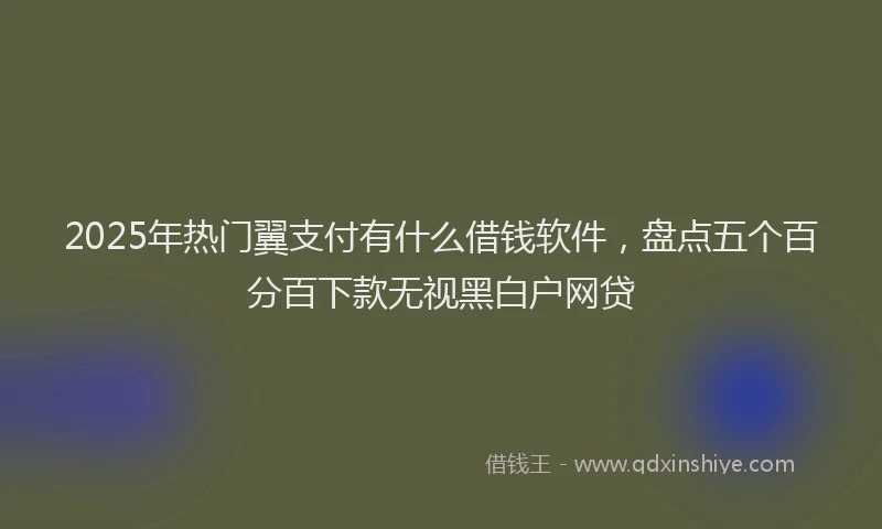 2025年热门翼支付有什么借钱软件，盘点五个百分百下款无视黑白户网贷