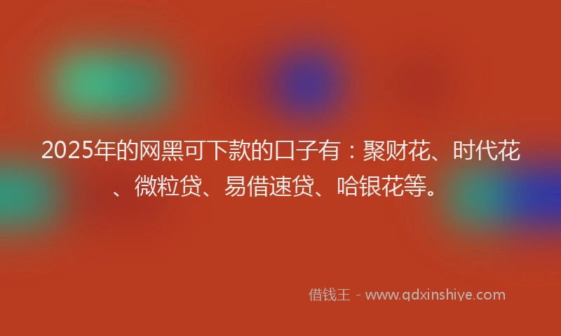 2025年的网黑可下款的口子有：聚财花、时代花、微粒贷、易借速贷、哈银花等。