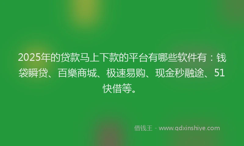 2025年的贷款马上下款的平台有哪些软件有：钱袋瞬贷、百樂商城、极速易购、现金秒融途、51快借等。