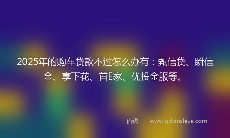 2025年的购车贷款不过怎么办有：甄信贷、瞬信金、享下花、首E家、优投金服等。