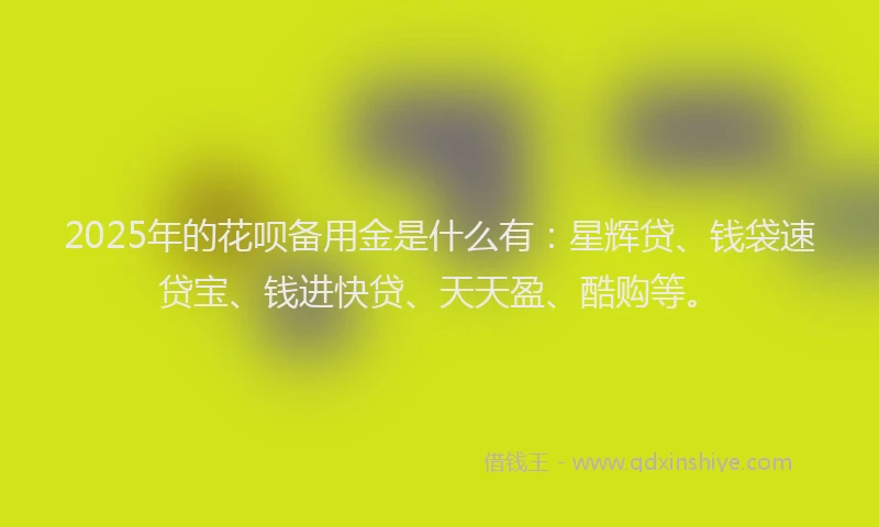 2025年的花呗备用金是什么有：星辉贷、钱袋速贷宝、钱进快贷、天天盈、酷购等。