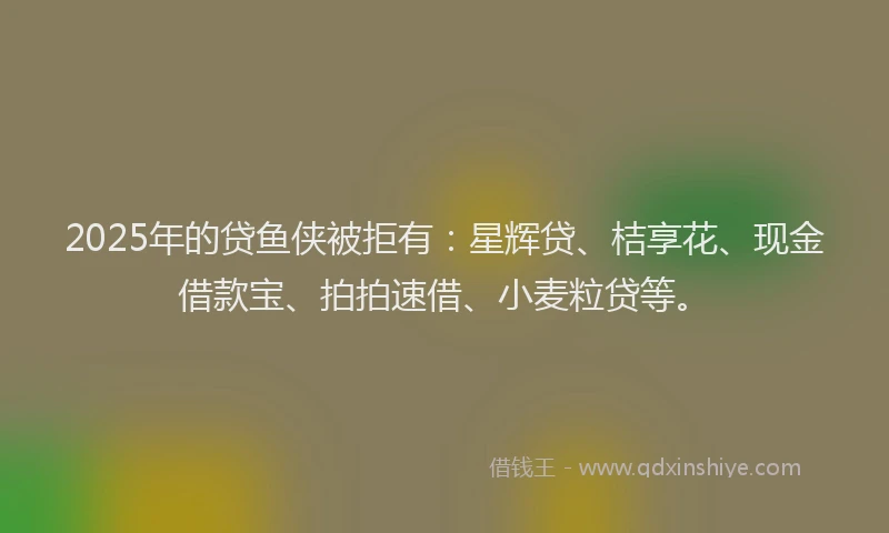 2025年的贷鱼侠被拒有：星辉贷、桔享花、现金借款宝、拍拍速借、小麦粒贷等。