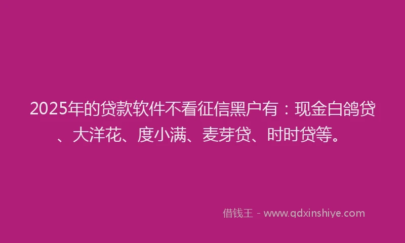 2025年的贷款软件不看征信黑户有：现金白鸽贷、大洋花、度小满、麦芽贷、时时贷等。