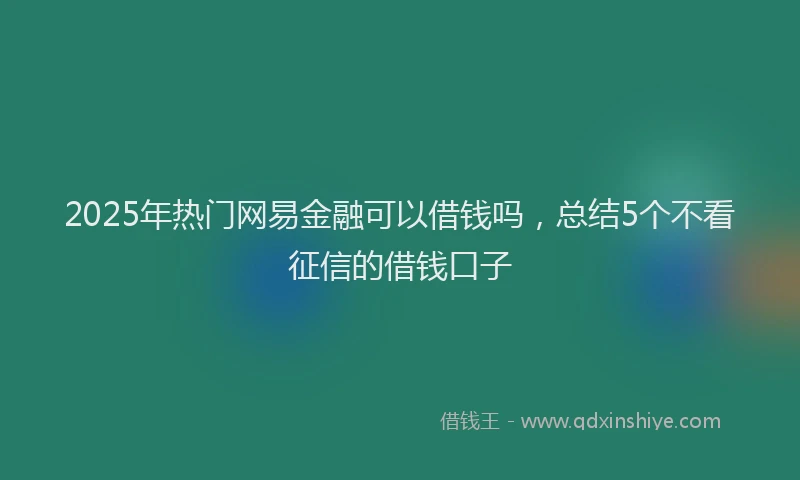 2025年热门网易金融可以借钱吗，总结5个不看征信的借钱口子