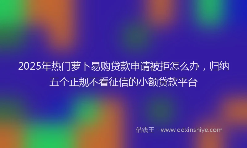 2025年热门萝卜易购贷款申请被拒怎么办，归纳五个正规不看征信的小额贷款平台