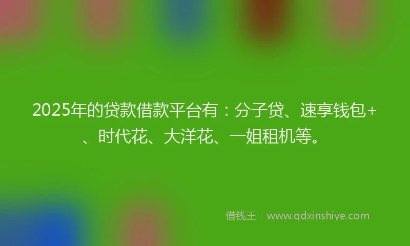 2025年的贷款借款平台有：分子贷、速享钱包+、时代花、大洋花、一姐租机等。