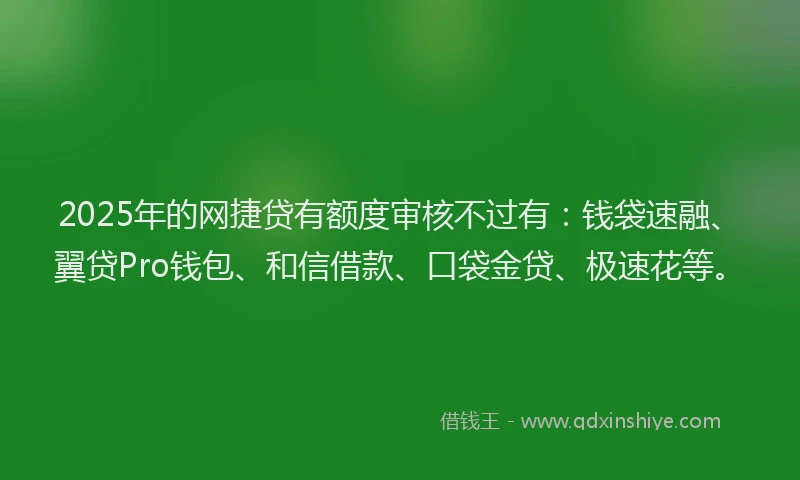 2025年的网捷贷有额度审核不过有：钱袋速融、翼贷Pro钱包、和信借款、口袋金贷、极速花等。