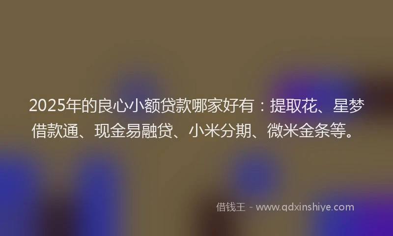 2025年的良心小额贷款哪家好有：提取花、星梦借款通、现金易融贷、小米分期、微米金条等。