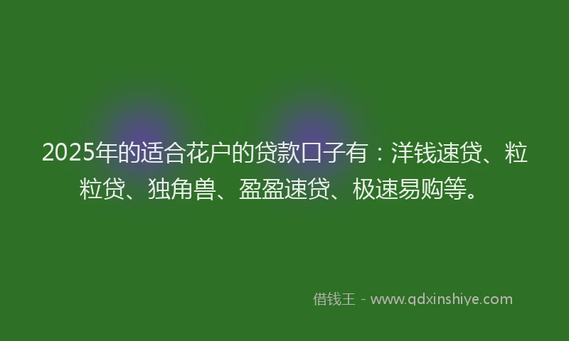 2025年的适合花户的贷款口子有：洋钱速贷、粒粒贷、独角兽、盈盈速贷、极速易购等。