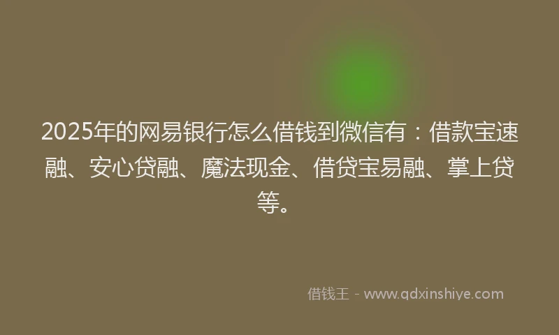 2025年的网易银行怎么借钱到微信有：借款宝速融、安心贷融、魔法现金、借贷宝易融、掌上贷等。