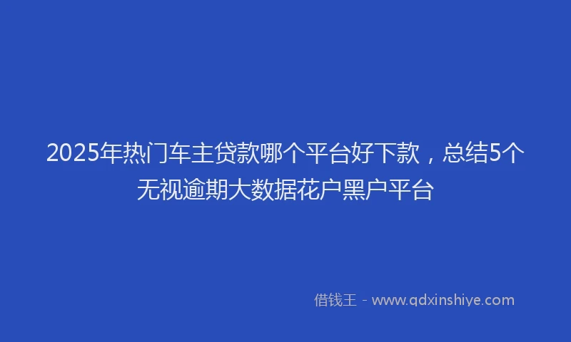 2025年热门车主贷款哪个平台好下款，总结5个无视逾期大数据花户黑户平台