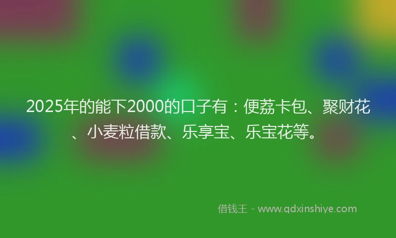 2025年的能下2000的口子有：便荔卡包、聚财花、小麦粒借款、乐享宝、乐宝花等。