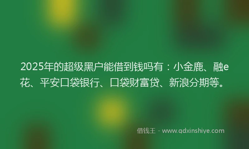 2025年的超级黑户能借到钱吗有：小金鹿、融e花、平安口袋银行、口袋财富贷、新浪分期等。