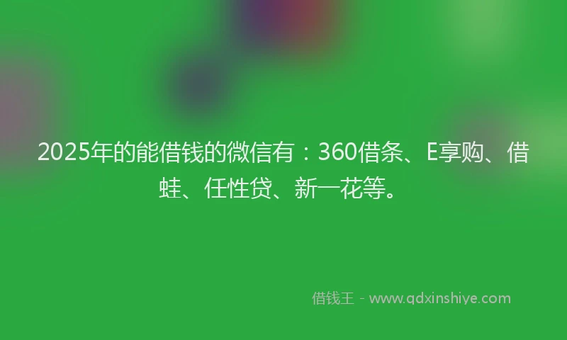 2025年的能借钱的微信有：360借条、E享购、借蛙、任性贷、新一花等。
