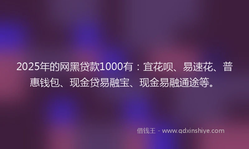2025年的网黑贷款1000有：宜花呗、易速花、普惠钱包、现金贷易融宝、现金易融通途等。