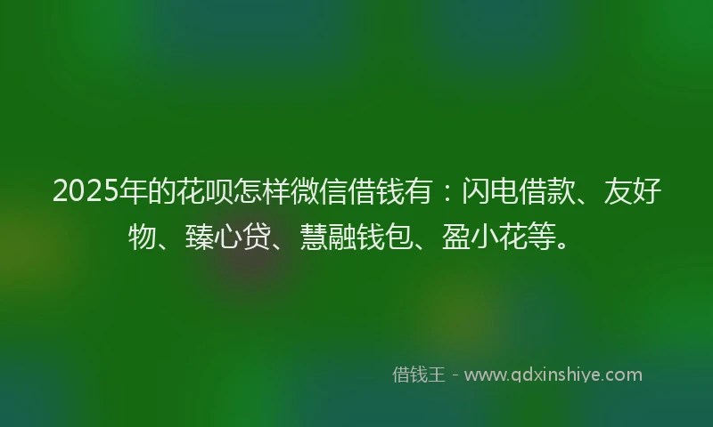 2025年的花呗怎样微信借钱有：闪电借款、友好物、臻心贷、慧融钱包、盈小花等。