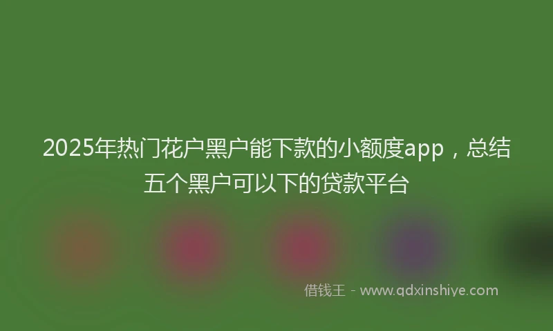 2025年热门花户黑户能下款的小额度app，总结五个黑户可以下的贷款平台