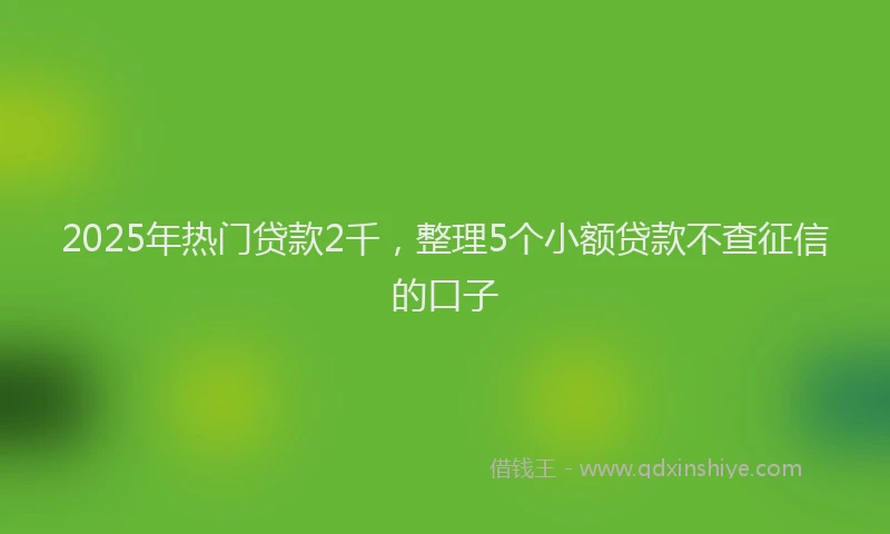 2025年热门贷款2千，整理5个小额贷款不查征信的口子