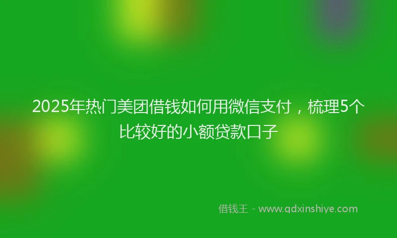 2025年热门美团借钱如何用微信支付，梳理5个比较好的小额贷款口子