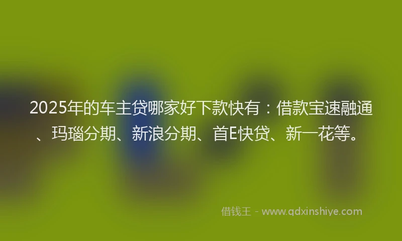 2025年的车主贷哪家好下款快有：借款宝速融通、玛瑙分期、新浪分期、首E快贷、新一花等。